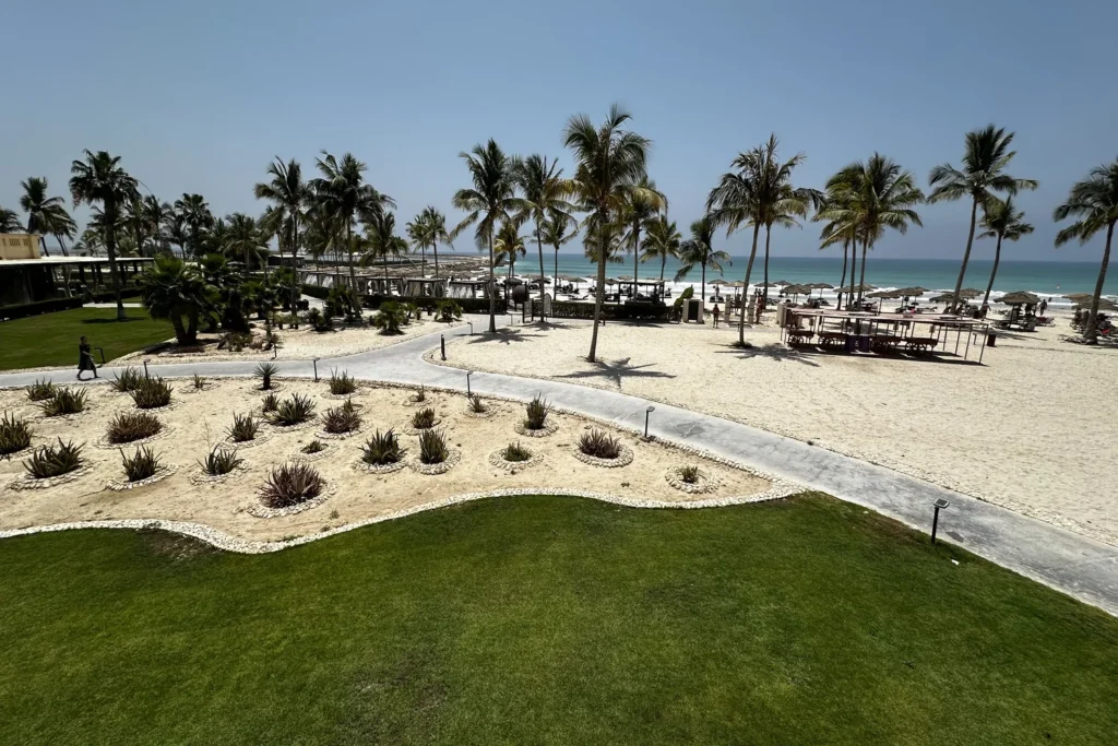 пляж с белым песком пальмами на побережье Омана