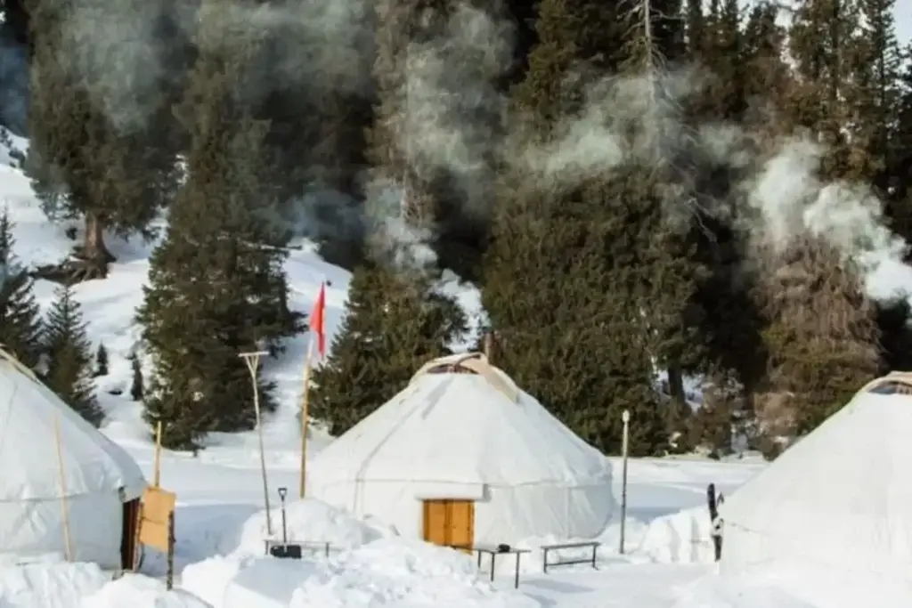 Snow‑covered mountains and a winter forest