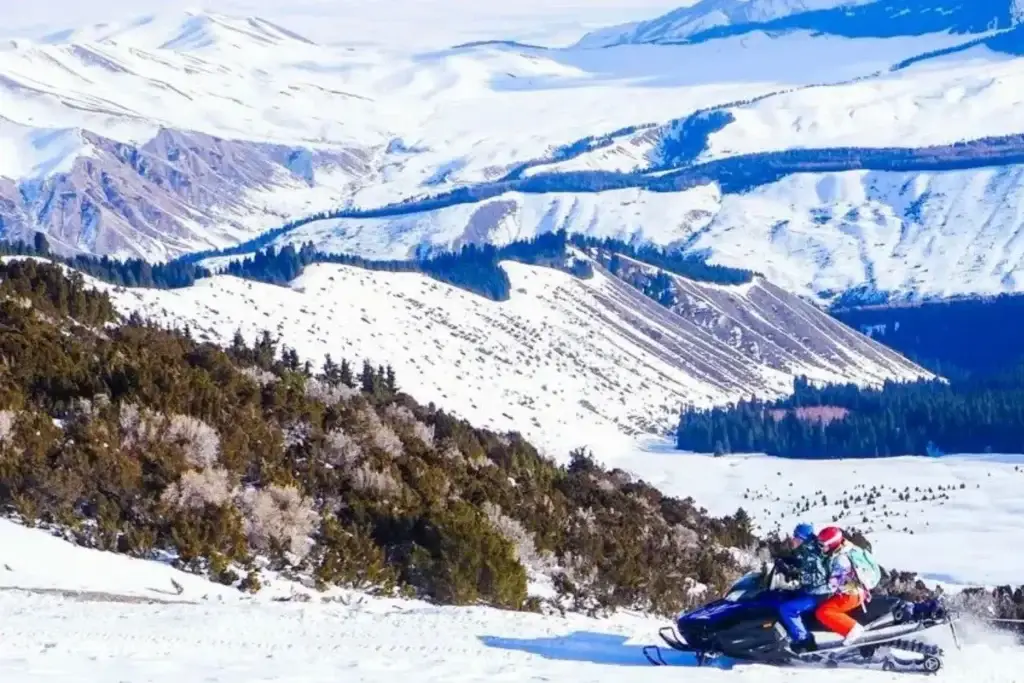 Snow‑covered mountains and a winter forest