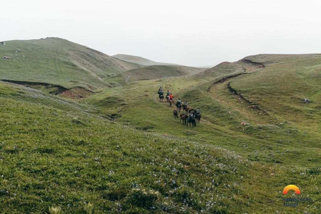 Riders are going with their horses through the mountains over green hills