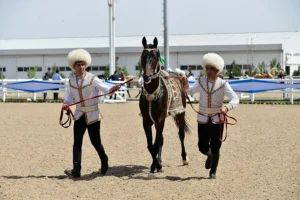 Two men in traditional Turkmen costumes lead an Akhal-Teke horse